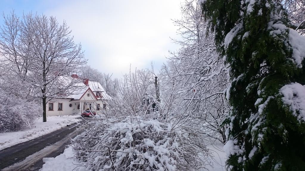 Bed and Breakfast Dwor Osmolice Bialki Dolne Exteriér fotografie